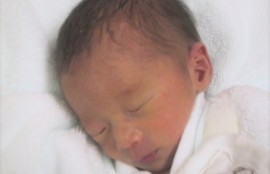 新生児の画像