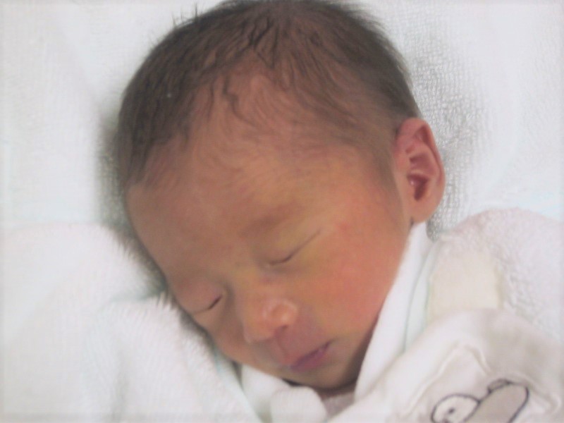 新生児の画像